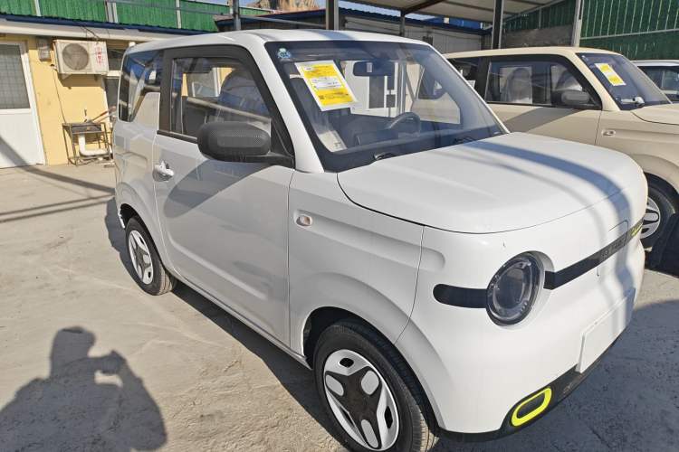 Used  Panda 2025 210 km – Yuanqi Bear
