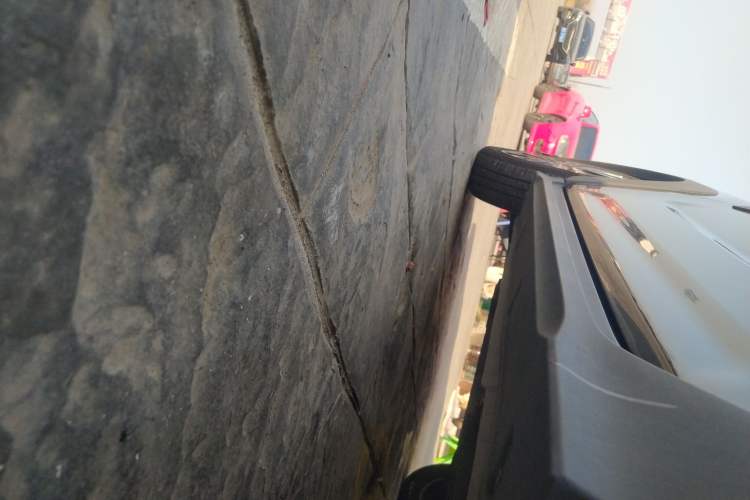 Used  Panda 2024 200km Panda Kart
