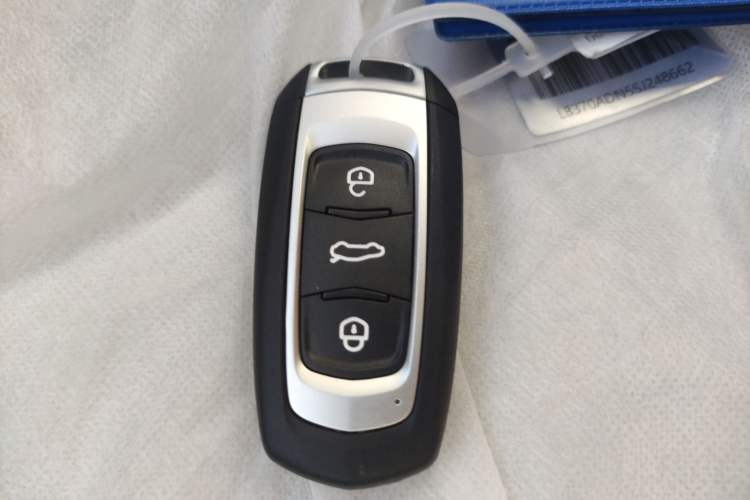 Used  Panda 2025 210 km – Yuanqi Bear