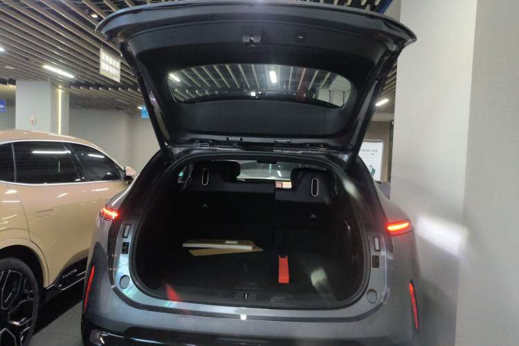 Used  07 2024 Max Extended-Range Edition
