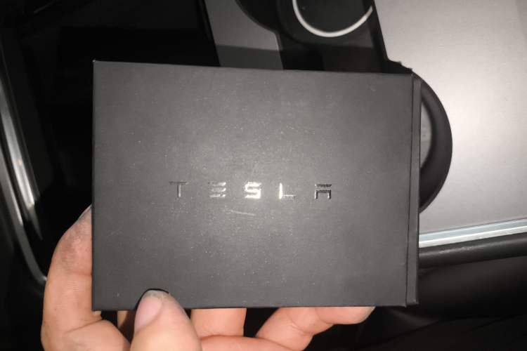 Used Tesla Model Y 2022 Rear-Wheel-Drive Version
