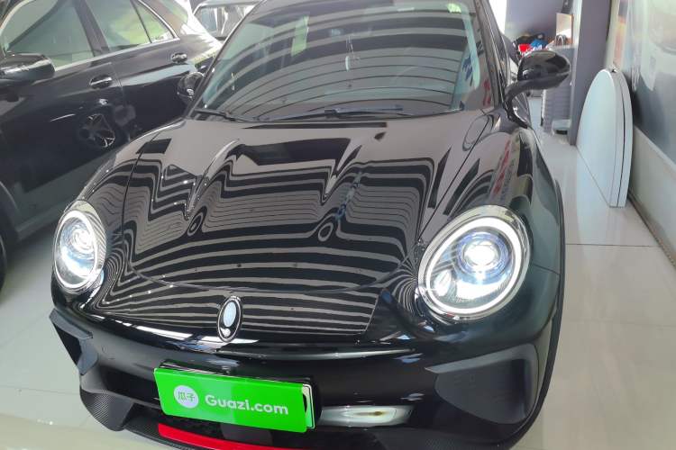 Used ORA Good Cat GT 2024 Mulan Edition 401km Luxury Version