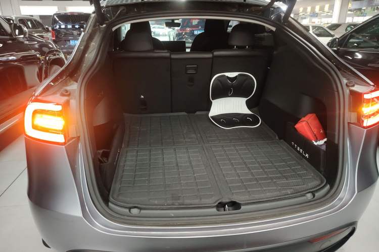 Used Tesla Model Y 2021 Standard Range Rear-Wheel Drive Version
