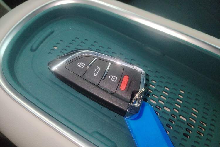 Used ORA Good Cat 2023 401 km Standard Range Luxury Version Lithium Iron Phosphate
