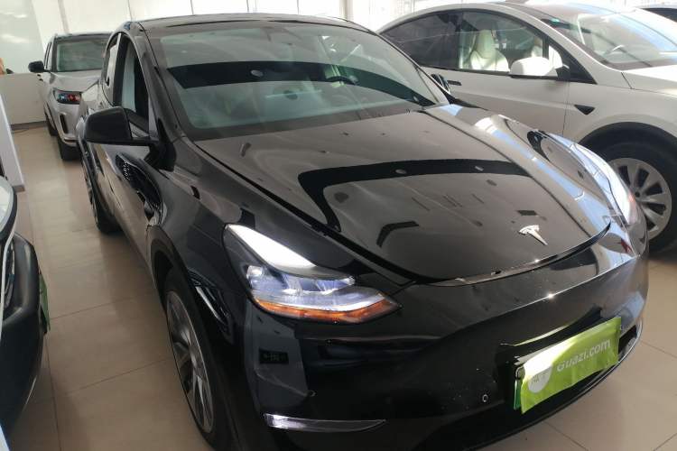 Used Tesla Model Y 2021 Long-Range All-Wheel-Drive Version
