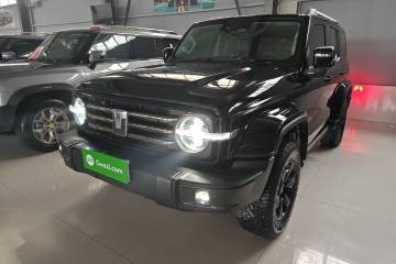 Used Tank 300 2021 City Edition 2.0T—Truly Stylish