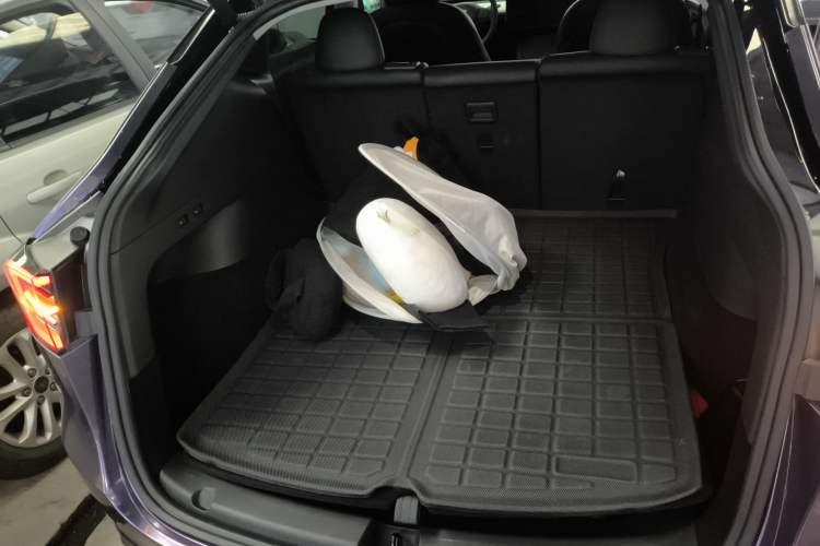 Used Tesla Model Y 2021 Standard Range Rear-Wheel Drive Version
