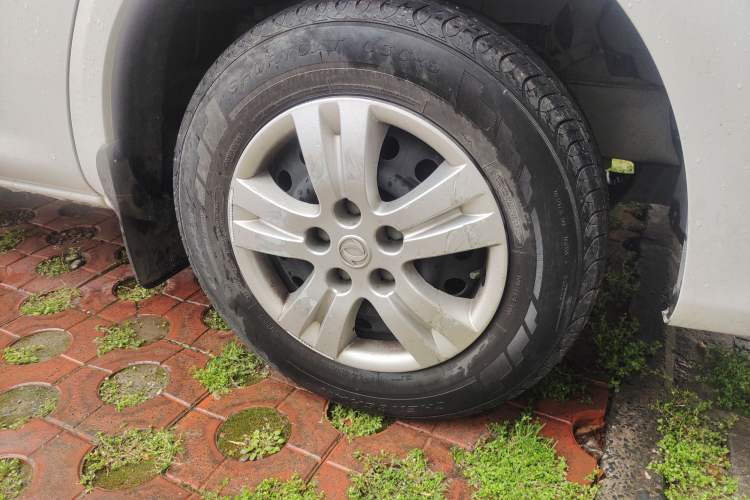 Used FORTHING Lingzhi 2020 M5 1.6L Practical Model