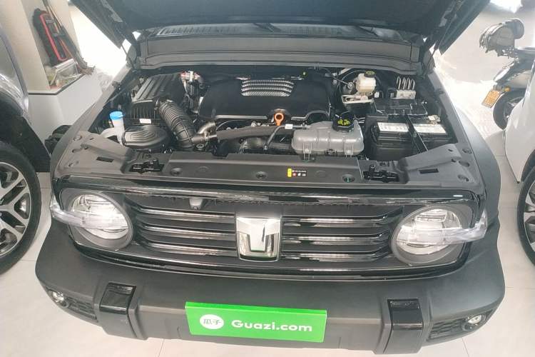 Used Tank 300 2024 2.0T Challenger
