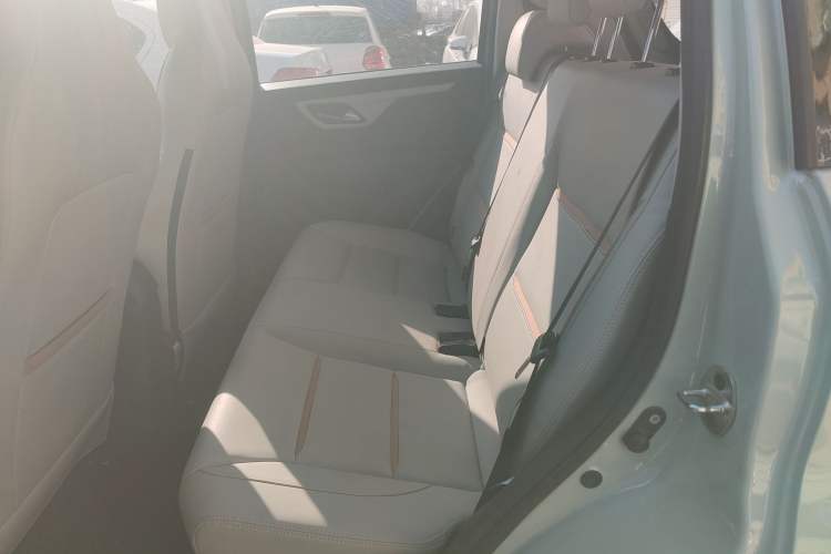 Used SOL E10X 2022 Flower Fairy Style Baby's Breath
