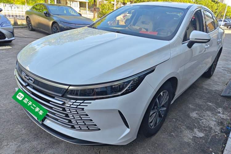 Used BYD Destroyer 05 2023 Champion Edition DM-i 55KM Luxury Model
