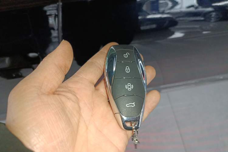 Used Hongqi H9 2024 2.0T Qichang Private Enjoyment Luxury Edition
