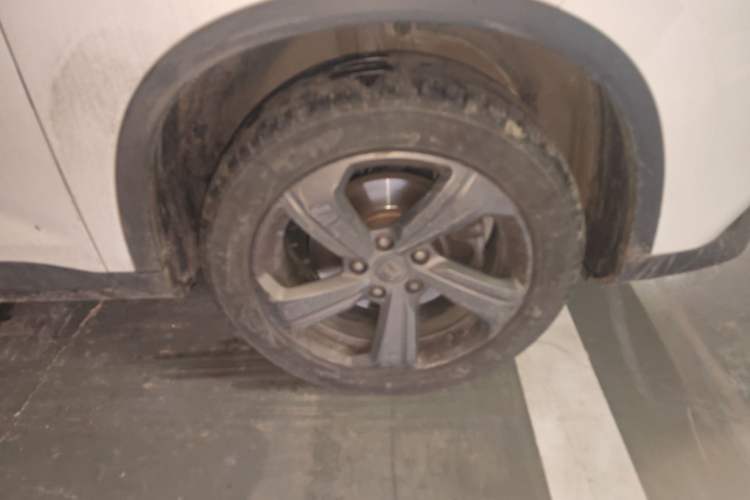 Used Baojun RM-5 2019 1.5T CVT Elite Version with 24-Hour Online Service 6 Seats