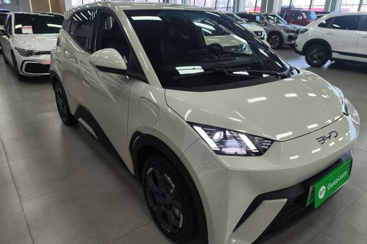 Used BYD Seagull 2025 305 km Free Version
