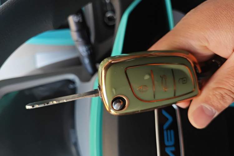 Used JMEV  2024 201km Comfort Version
