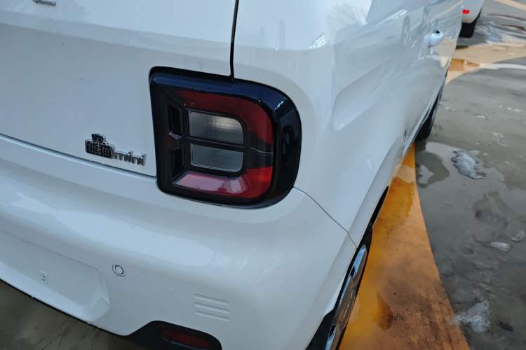 Used  Panda 2024 Panda Mini 200km Endurance Bear