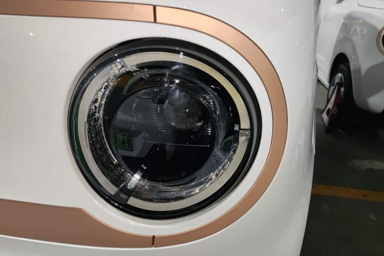 Used  Panda 2024 Panda Mini 200km Endurance Bear
