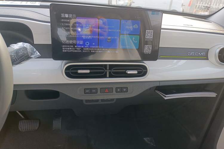 Used  Panda 2025 210 km – Yuanqi Bear