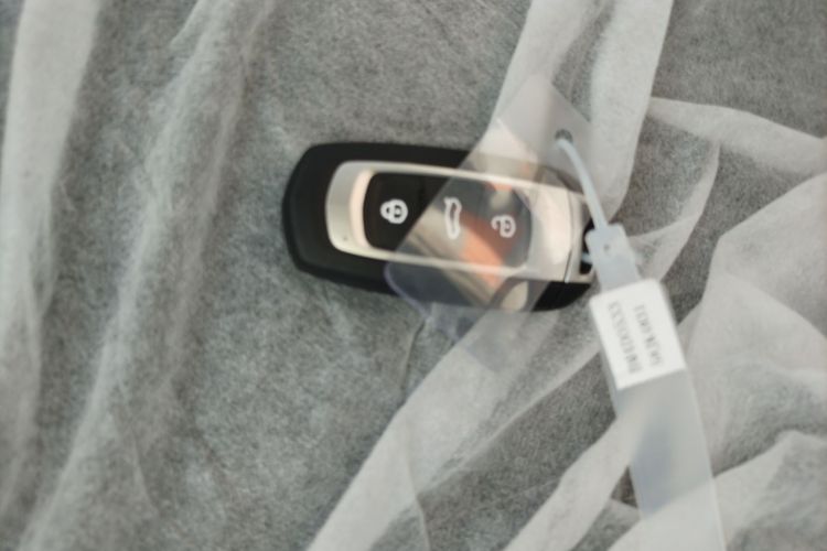 Used  Panda 2024 Panda Mini 200km Endurance Bear
