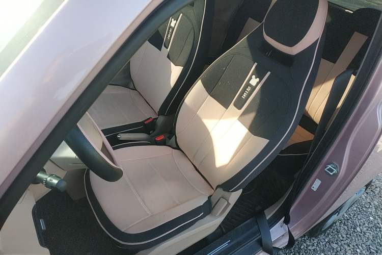 Used  Panda 2024 Panda Mini 200km Endurance Bear