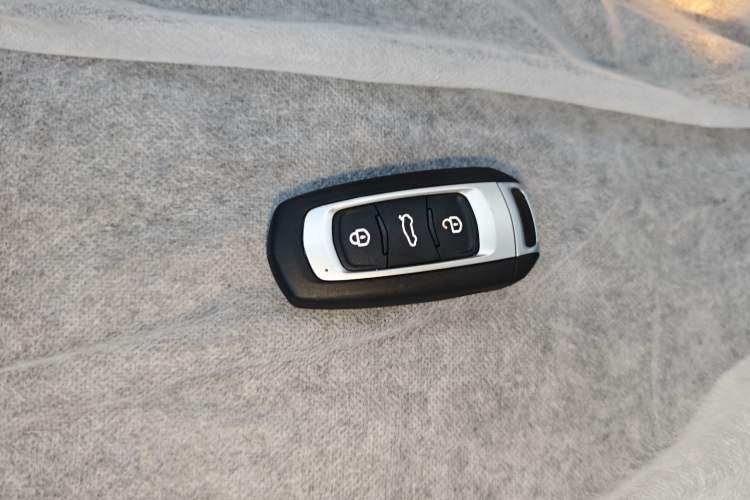 Used  Panda 2024 Panda Mini 200km Endurance Bear