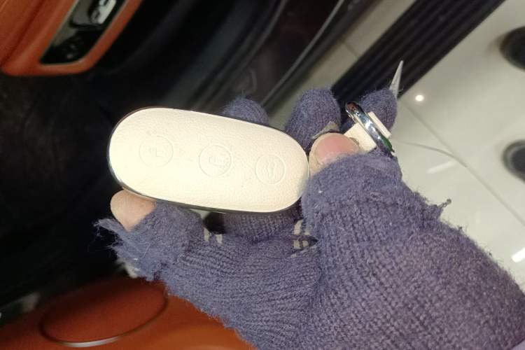 Used Li Auto L9 2023 Pro Model