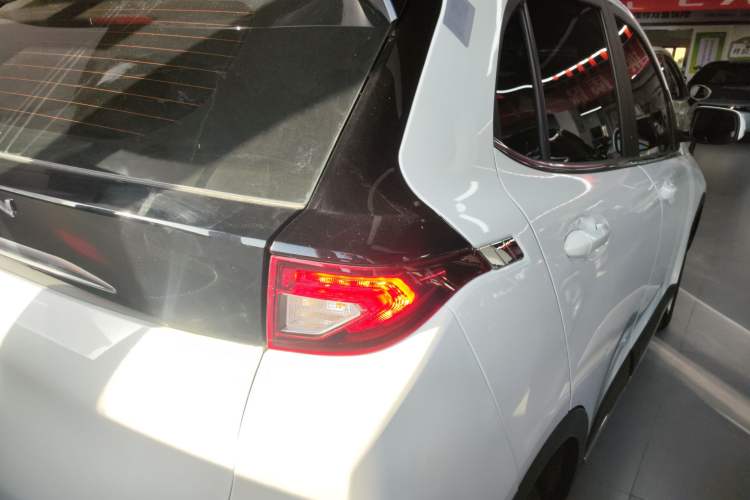 Used Dayun Yuehu 2022 30.66 kWh Two-Wheel Drive Standard Version
