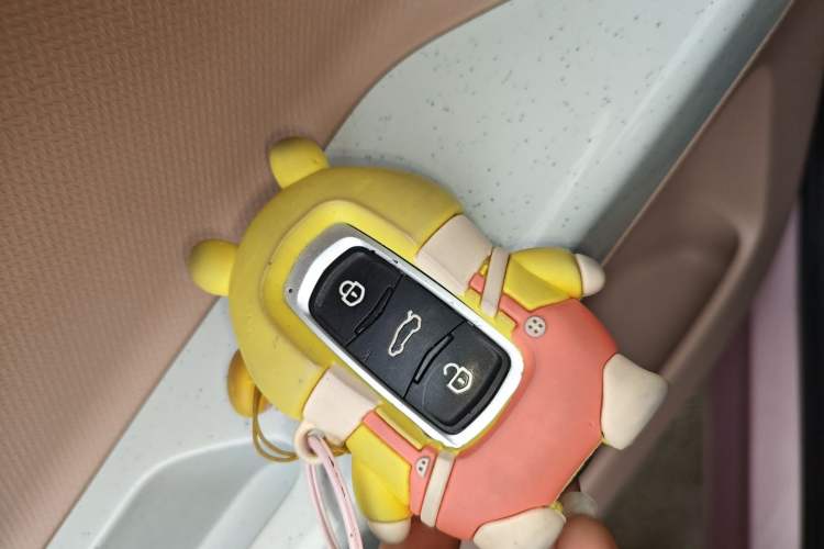 Used  Panda 2024 Facelifted Panda Mini 200km Dragon Edition