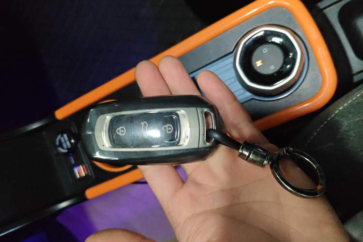 Used Geely Galaxy Panda 2024 Panda Mini 200km Endurance Bear
