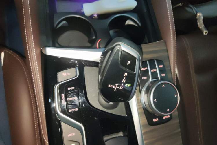 Used BMW 5 Series New Energy 2020 530Le Luxury Package
