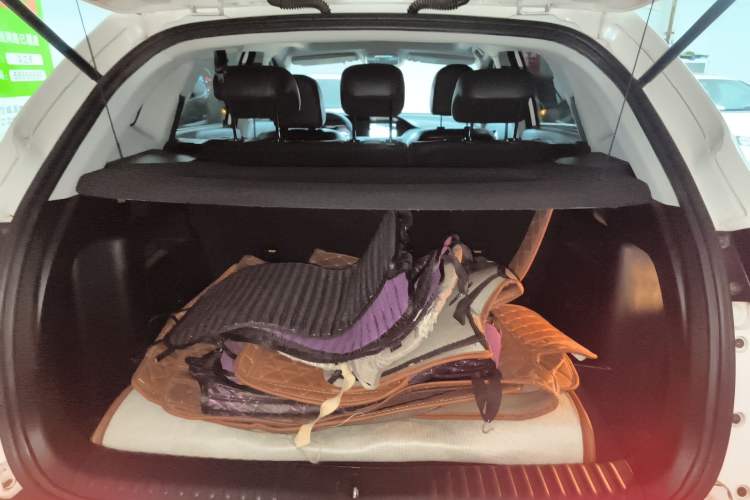 Used Leopaard CS10 2017 2.0T Automatic Urban Version