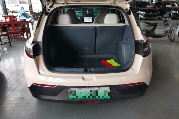 Used  Geome 2025 310km Youth Edition
