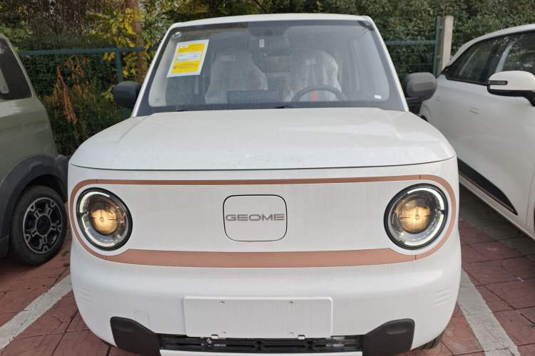Used  Panda 2024 Panda Mini 200km Endurance Bear
