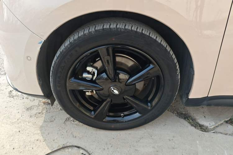 Used ORA Good Cat 2024 401 km Range Luxury Version 135 kW