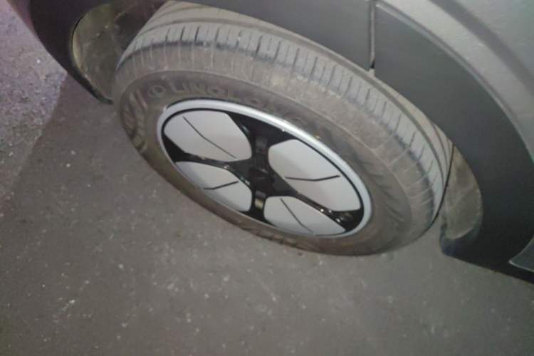 Used  Geome 2025 310km Youth Edition
