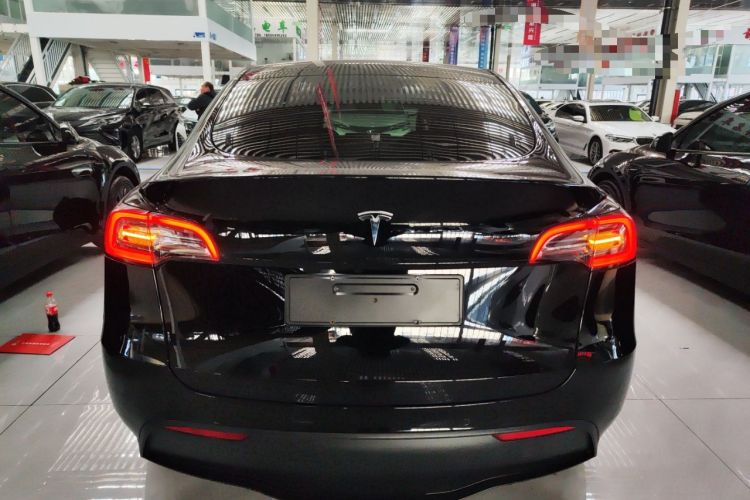 Used Tesla Model Y 2021 Standard Range Rear-Wheel Drive Version
