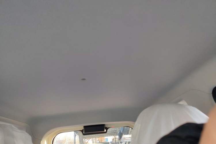 Used  Panda 2025 210 km – Yuanqi Bear
