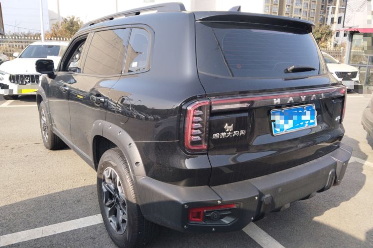 Used Haval DARGO 2024 2.0T DCT Chinese Rural Dog Edition
