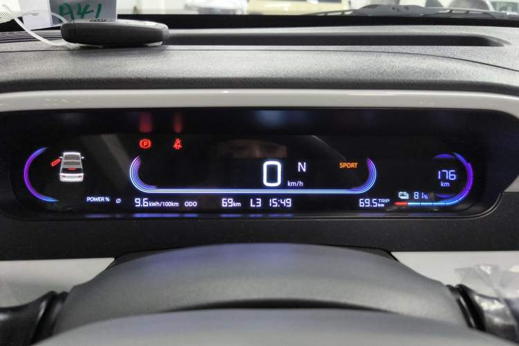 Used  Panda 2025 210 km – Yuanqi Bear
