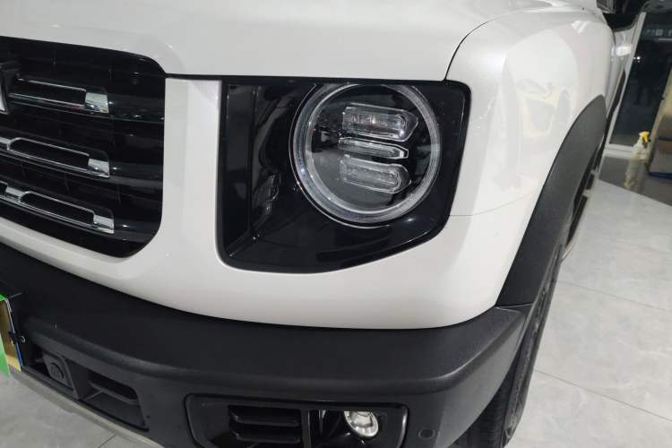 Used Haval DARGO 2021 2.0T DCT 4x4 Chinese Rural Dog Edition
