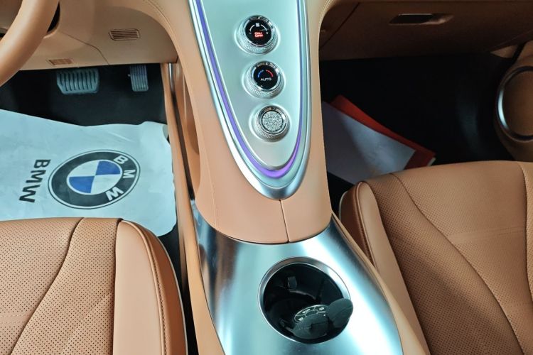 Used ORA Lightning Cat 2022 555 km Luxury Edition
