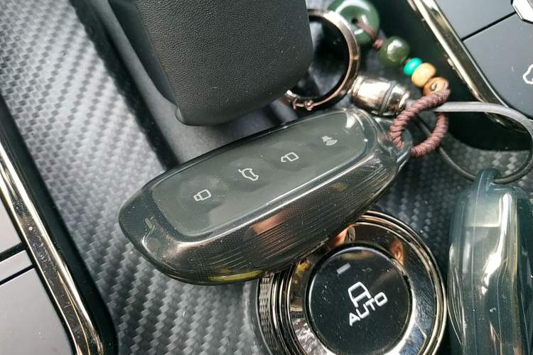 Used Haval H Dog 2023 2.0T Two-Wheel Drive Chaoye Version Plus
