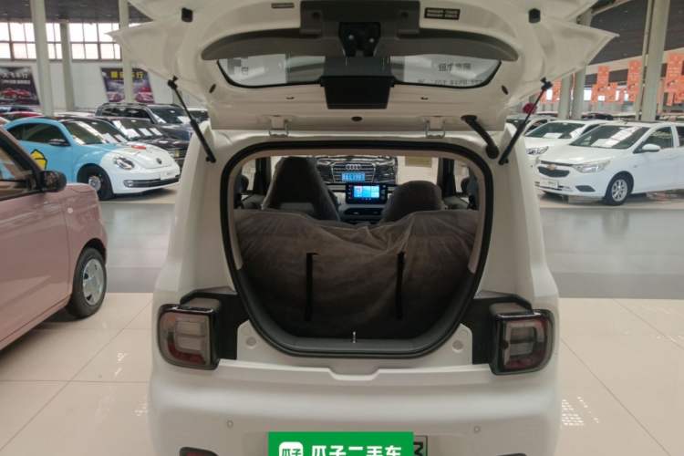 Used  Panda 2024 Panda Mini 200km Longteng PRO Edition
