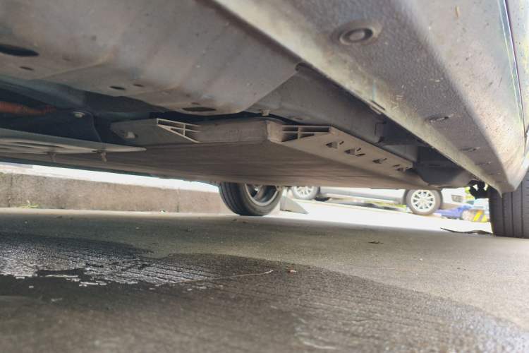 Used ORA Black Cat 2019 351 km Family Edition
