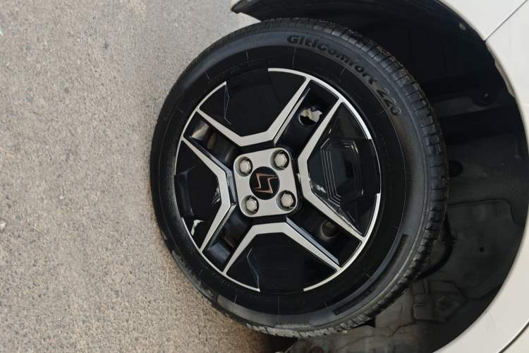 Used SOL E10X 2022 Flower Fairy Design Four-Leaf Clover