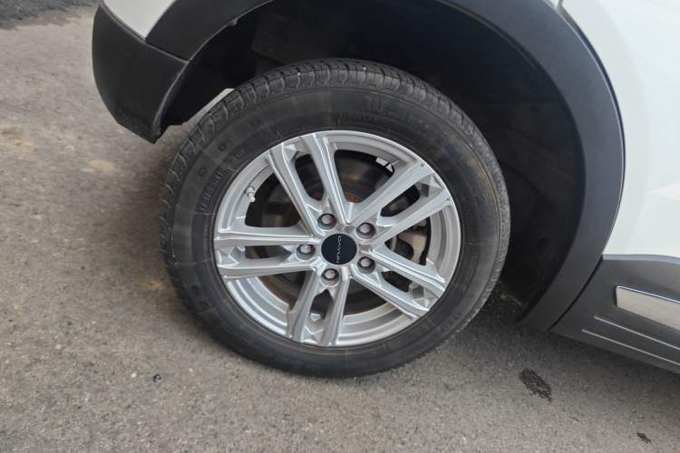 Used Dayun Yuehu 2022 300 Standard Edition