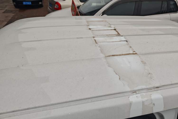 Used  Panda 2024 Panda Mini 200km Endurance Bear