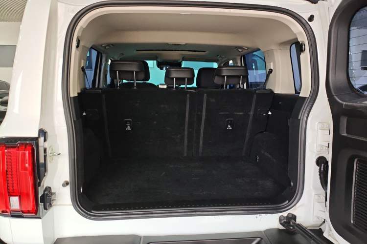 Used Tank 300 2023 2.0T Iron Rider 02
