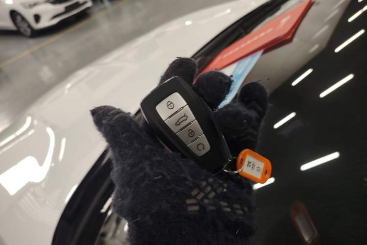 Used Geely Auto Binray 2024 Binrui COOL 1.5T DCT Champion Edition
