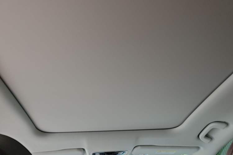 Used Leapmotor C11 2021 Performance Edition
